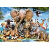 Cute Animal Photo 5D Diy Diamond Painting