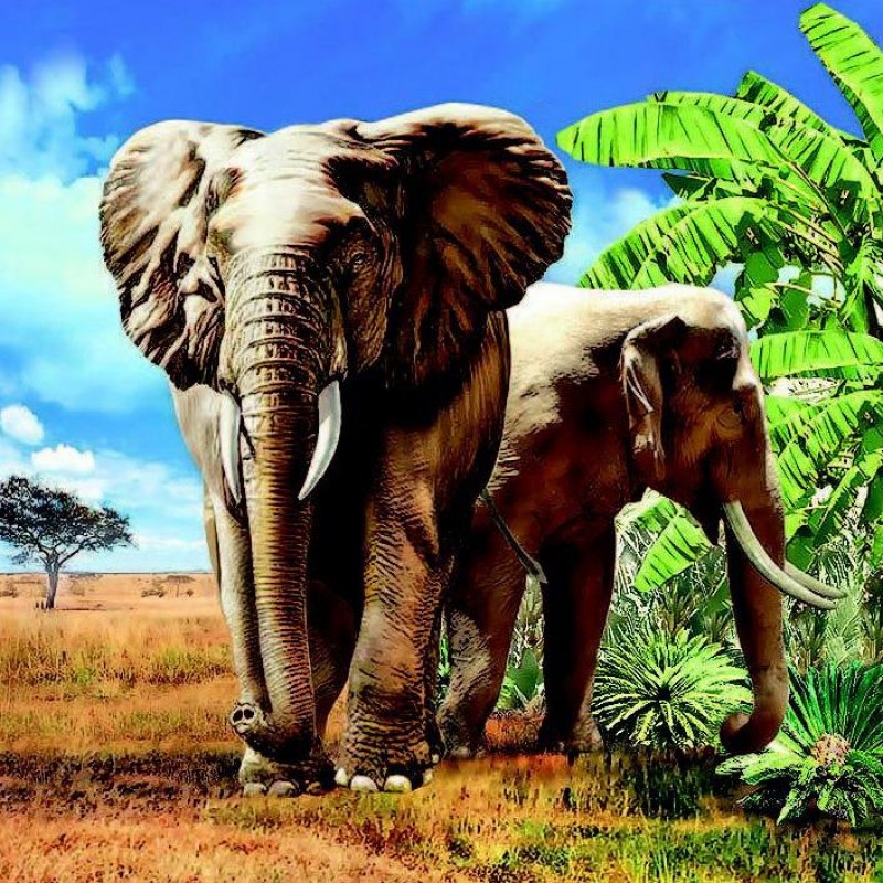 Modern Art Elephant  5D D...