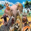Funny Cartoon Animals Photo 5D DIY Diamond Painting Kits