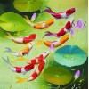 Cartoon Fish 5D DIY Diamond Painting Kits