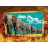 Special Modern Art Elephant Diy 5D Diamond Painting Kits UK
