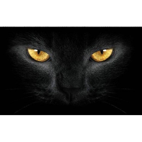 Cat With Charming Brown Eyes 5D Diamond Diy Painting UK