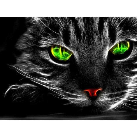 Special Cat With Green Eyes 5D Diamond Diy Painting UK