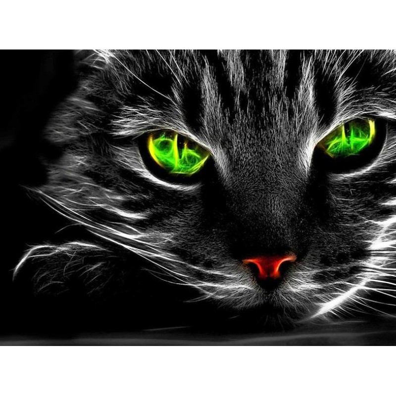 Special Cat With Green Ey...