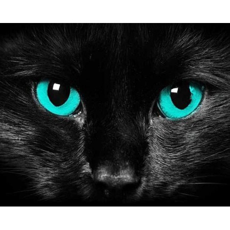 Cat With Charming Blue Eyes 5D Diamond Diy Painting UK