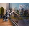 Hot Sale Dream Cheap Creative Mirror Cat 5D Diamond Painting UK