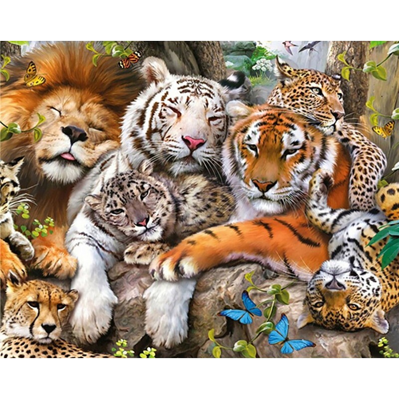 Funny Tiger Lion Leopard ...
