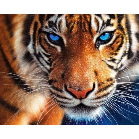 Dream Animal Tiger 5D Diy Diamond Painting