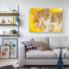 Hot Sale Cute Cat 5D Diy UK Diamond Painting