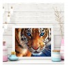 Dream Animal Tiger 5D Diy Diamond Painting