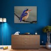 Special Bird 5D Diy Diamond Painting Kits UK