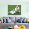 Dream Animal Cute Rabbit 5D Diy Diamond Painting Kits UK