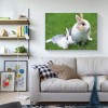 Dream Animal Cute Rabbit 5D Diy Diamond Painting Kits UK