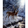 Winter Series Snow Woods Deer Diamond Painting Kits UK