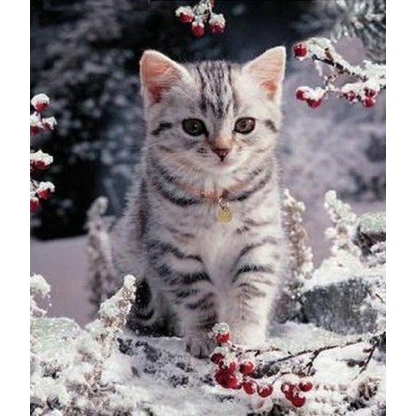 New Hot Sale Cute Cat 5D Diamond Painting UK