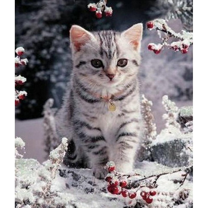 New Hot Sale Cute Cat 5D ...
