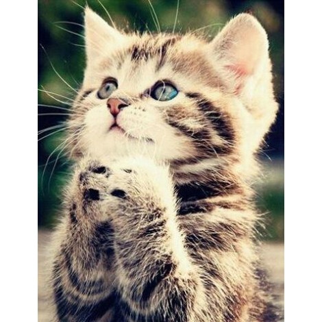 New Hot Sale Pet Cat Picture 5D Diy Diamond Painting Kits UK