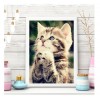New Hot Sale Pet Cat Picture 5D Diy Diamond Painting Kits UK