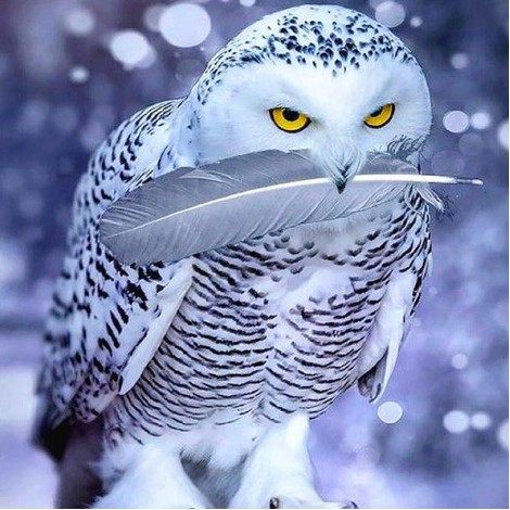 New White Owl 5D DIY Diamond Painting Kits UK
