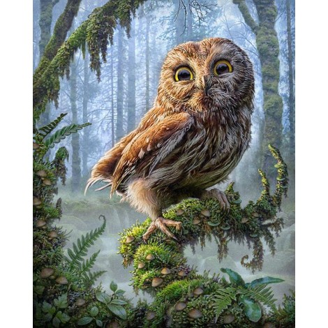 Affordable Animal Modern Art Hot 5D DIY Diamond Painting Owl Kits UK