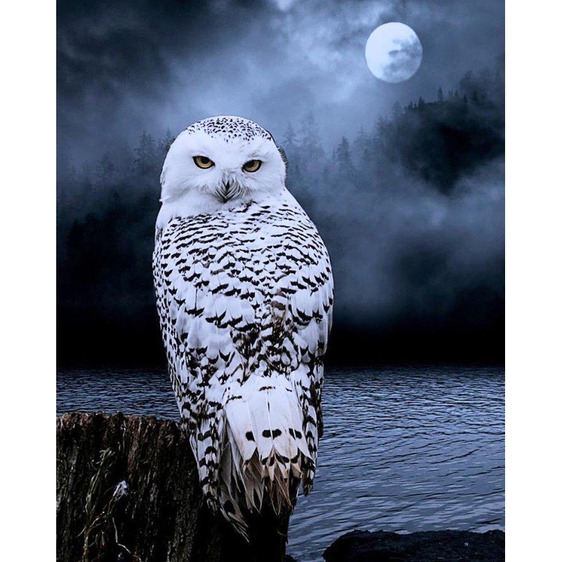 Hot Sale White Owl Diamon...