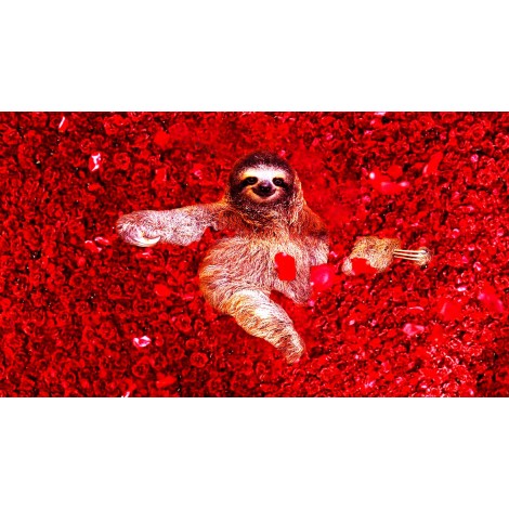 Sloth In Red 5D DIY Diamond Painting