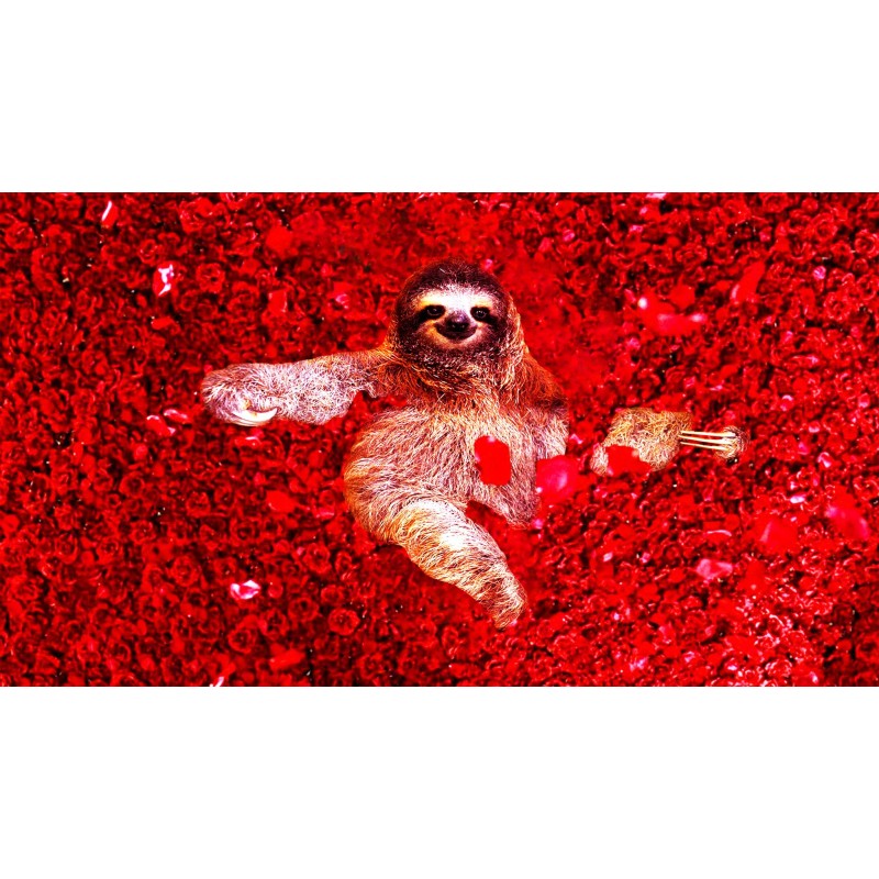 Sloth In Red 5D DIY Diamo...