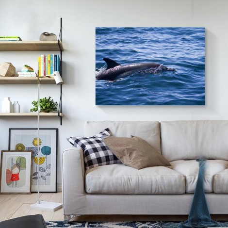 Dolphin 5D DIY Diamond Painting Kits UK