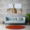 Funny Kangaroo DIY 5D Diamond Painting UK
