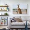 Funny Kangaroo DIY 5D Diamond Painting UK