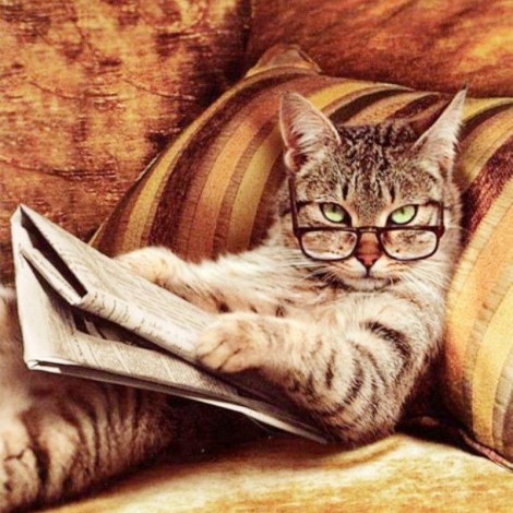 Special Funny Cat Reading The Newspaper 5D Diamond Painting UK