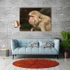 Monkey 5D DIY Diamond Painting Kits UK