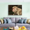 Monkey 5D DIY Diamond Painting Kits UK