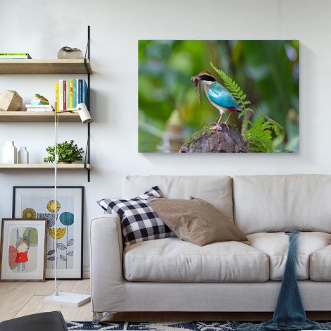 5D DIY New Hot Sale Bird Diamond Painting Kits UK