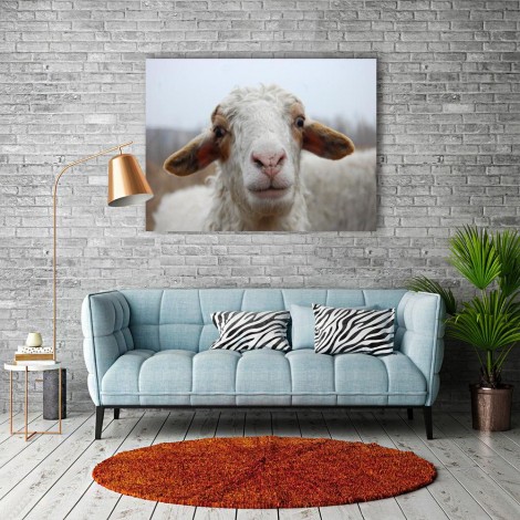 Funny Sheep 5D DIY Diamond Painting Kits UK