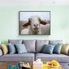 Funny Sheep 5D DIY Diamond Painting Kits UK