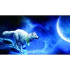 Wolf and Moon 5D DIY Diamond Painting