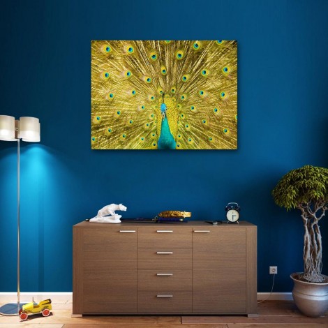 Gold Modern Art Styles Peacock Diamond Painting Kits UK