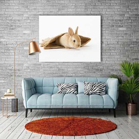 Cute Rabbit 5D Diy Diamond Painting Kits UK