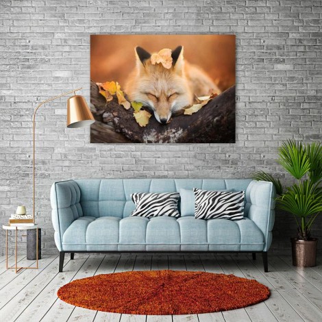 Hot Sale Fox 5D DIY  Diamond Painting Kits UK