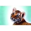 Cute Little Tiger 5D DIY Diamond Painting