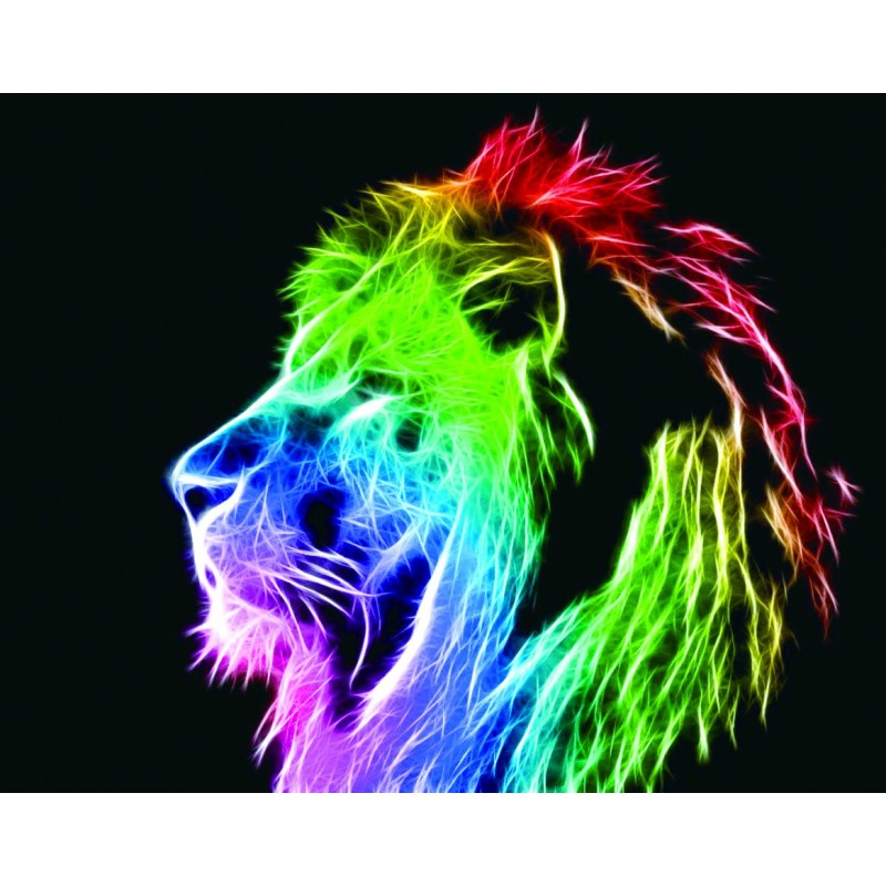 Abstract Colorful Lion 5D...