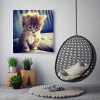 Affordable Hot Sale Cute Cat 5D Diamond Painting UK