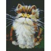 Funny Cat 5D Diy Diamond Painting Kit UK