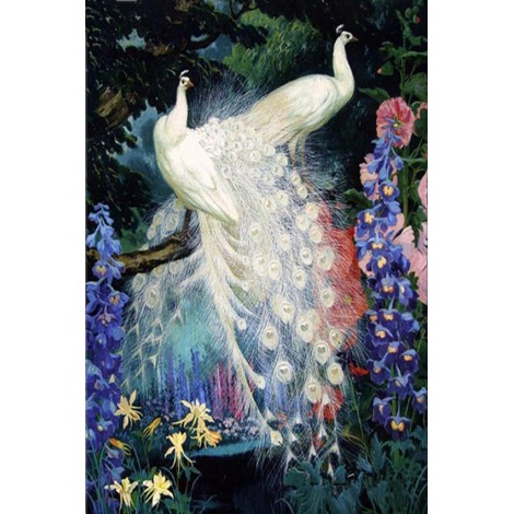 Dream Beautiful White Peacock 5D Diy Diamond Painting Kit UK