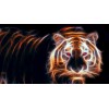 Abstract Tiger 5D DIY Diamond Painting