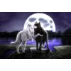 Kissing Wolves 5D DIY Diamond Painting