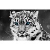 Winter Tiger Sky 5D DIY Diamond Painting