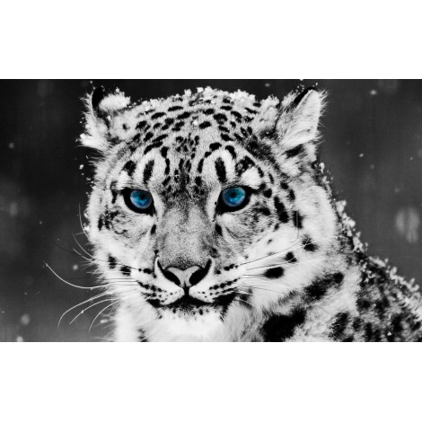 Winter Tiger Sky 5D DIY Diamond Painting