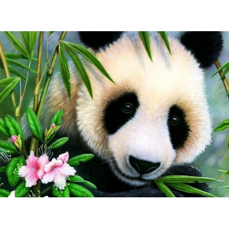 Cute Animal Panda 5D Diy Diamond Painting Kits UK